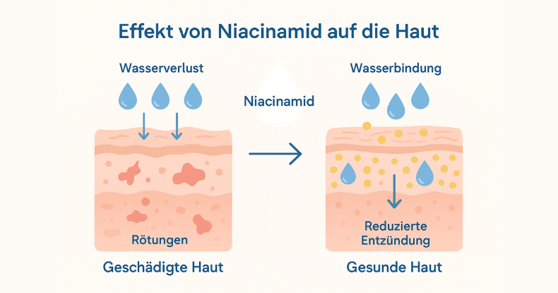 Effekt von Niacinamid in der Haut